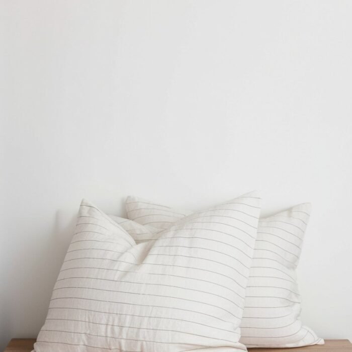 Set of 2 Euro Linen Pillowcases – Pencil Stripe