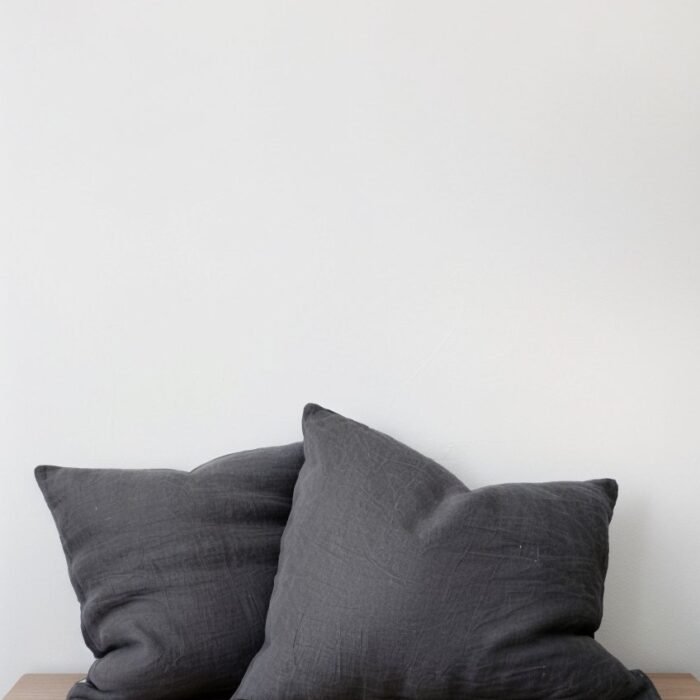 Set of 2 Euro Linen Pillowcases - Slate
