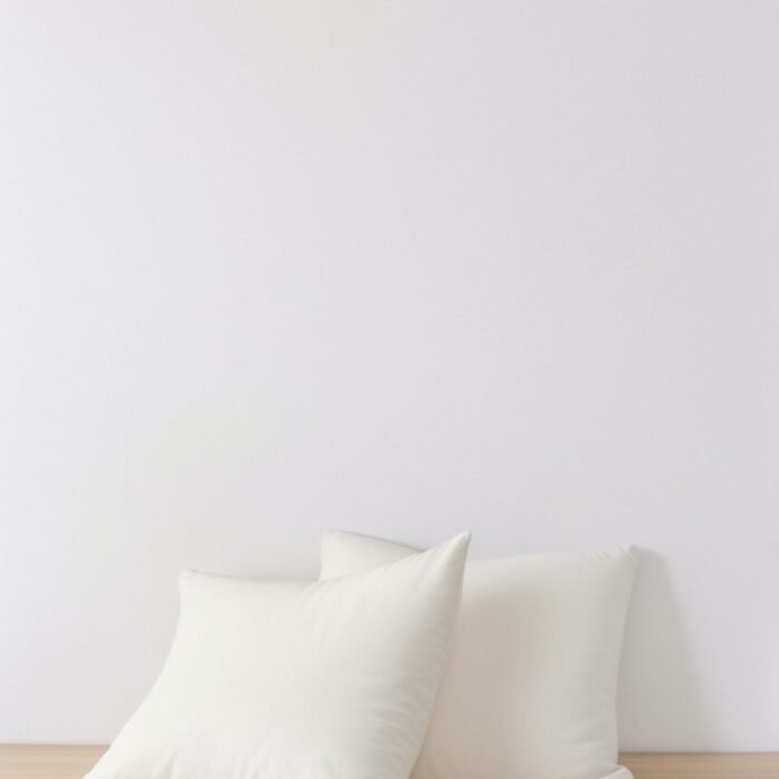 Set of 2 Euro Linen Pillowcases – Ivory